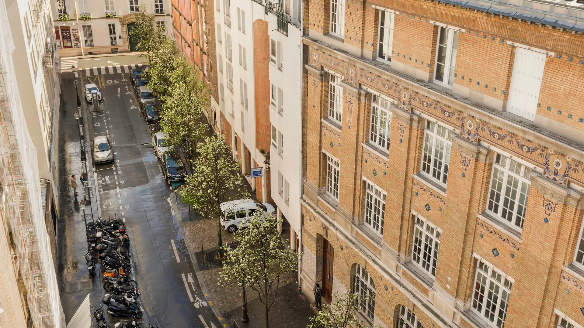 De Neuve By Happyculture Paris